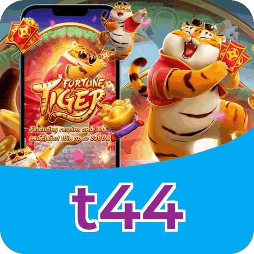 Interface t44